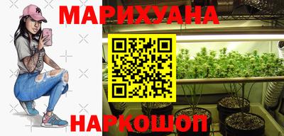 гидропоника Пенза