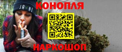 гидропоника Пенза