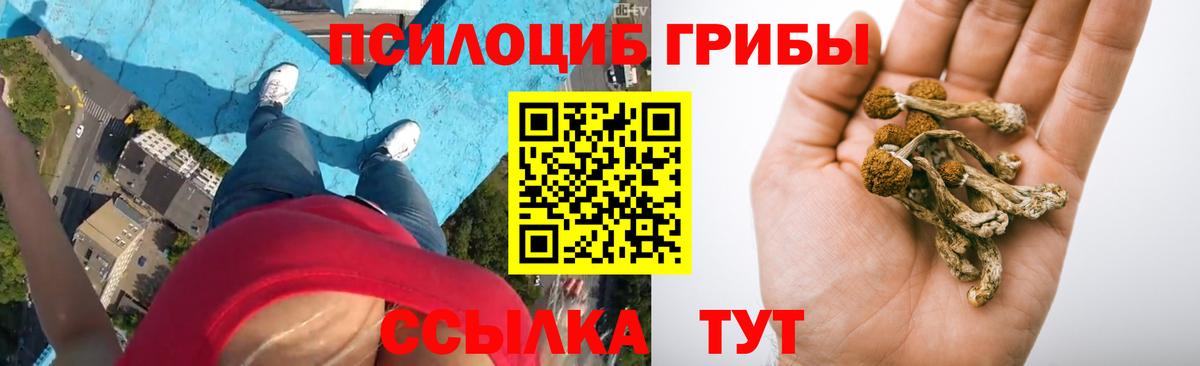 Славянск-на-Кубани  Псилоцибиновые грибы мухоморы  Галлюциногенные грибы Cubensis  Вход с VPN 